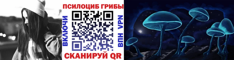 ОМГ ОМГ ССЫЛКА  закладка  Ядрин  Галлюциногенные грибы Psilocybe 